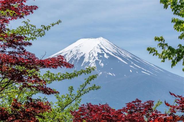 闻名世界的富士山竟然为私人所有！