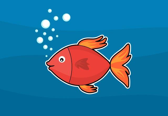 有趣探索：鱼有没有耳朵？鱼能听见声音？