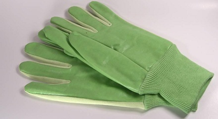 网络流行语“绿手套”是什么意思？
