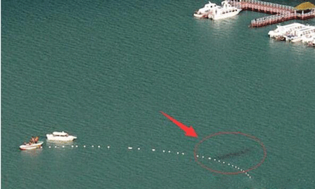 新疆喀纳斯湖水怪之谜真相,疑似长达15米的巨型哲罗鲑
