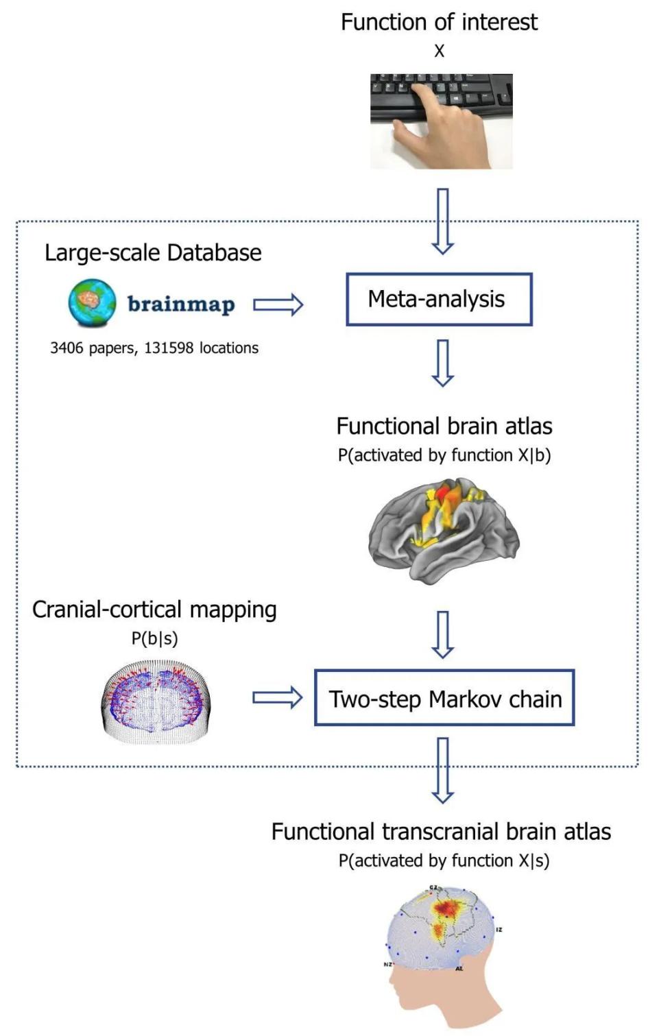 朱朝喆课题组在《Neuroimage》提出经颅功能脑图谱（fTBA）
