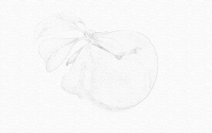 彩铅画桃子的画法步骤