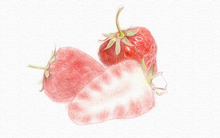 彩铅画草莓教程步骤图
