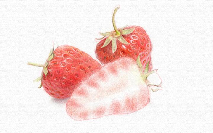 彩铅画草莓教程步骤图