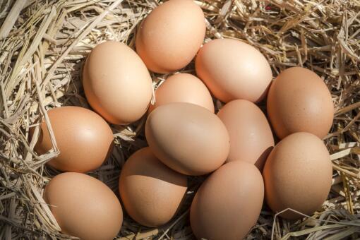 蒸鸡蛋羹的做法需要多长时间（蒸鸡蛋羹的6大步骤）鸡蛋羹营养价值蒸鸡蛋羹原理蒸鸡蛋羹要加电解质、要过滤蒸鸡蛋羹6大步骤
