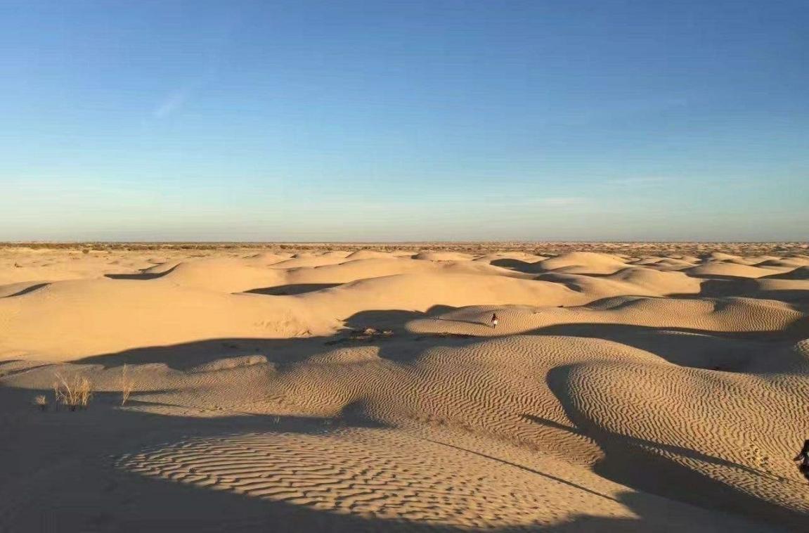 最大的沙漠叫什么名字「最大的沙漠面积和位置简介」