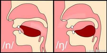 前鼻音和后鼻音有哪些区分技巧（前鼻音有几个后鼻音有几个一年级）
