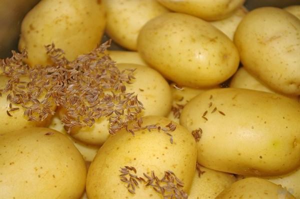 发了芽的土豆能吃吗？发芽的土豆怎么处理