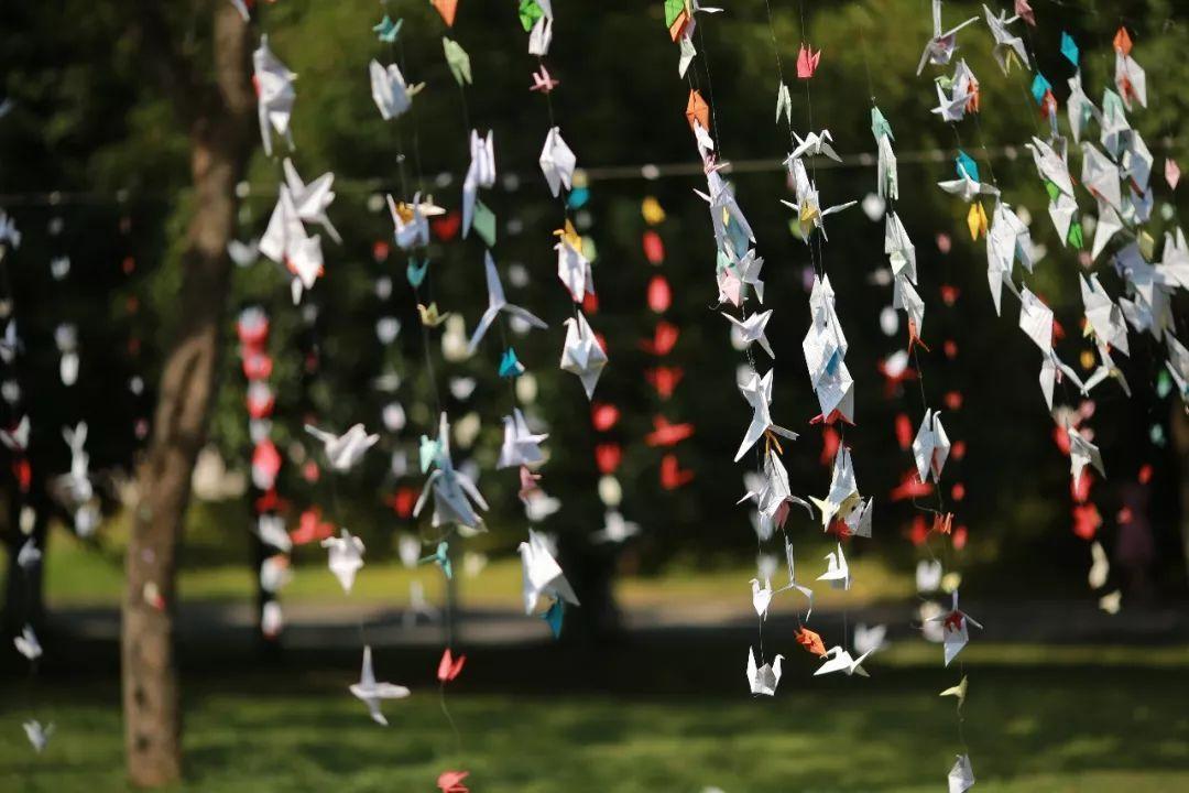 千纸鹤的寓意和象征，千纸鹤制作步骤以及代表的含义