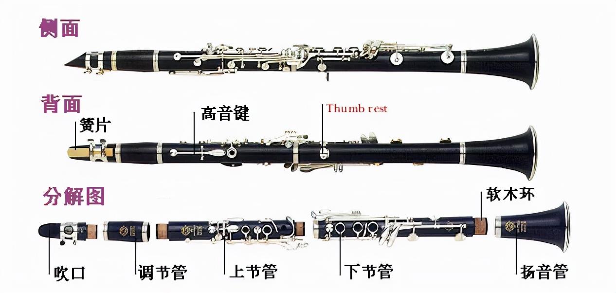 黑管是什么乐器的名称？单簧管简单介绍及初学基本知识