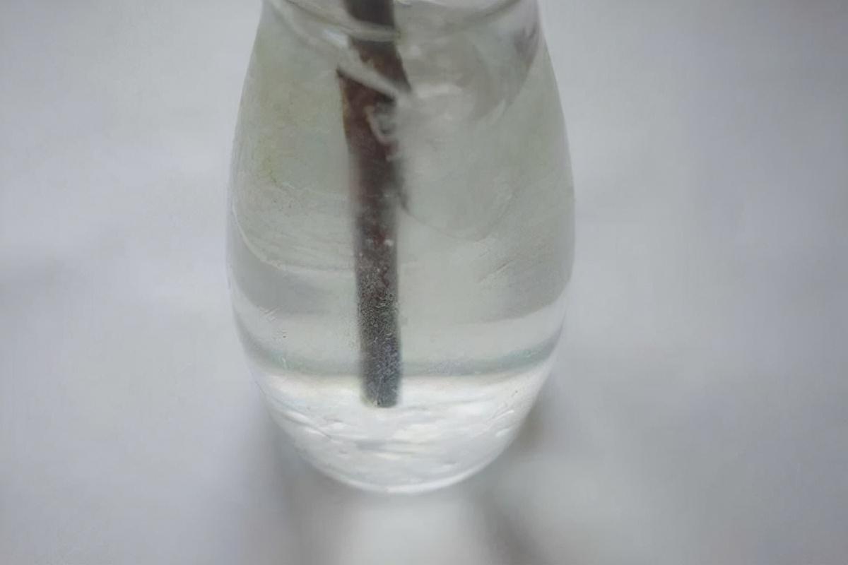 自制苏打水的方法，自制苏打水详细步骤