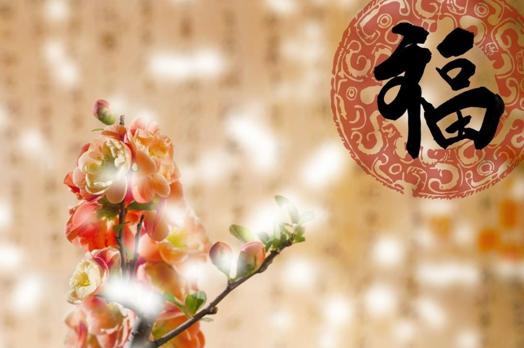 关于春节的古诗四句，关于春天的古诗分享