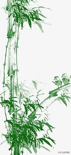 形容竹子的诗句有哪些？赞美竹子精神的诗句