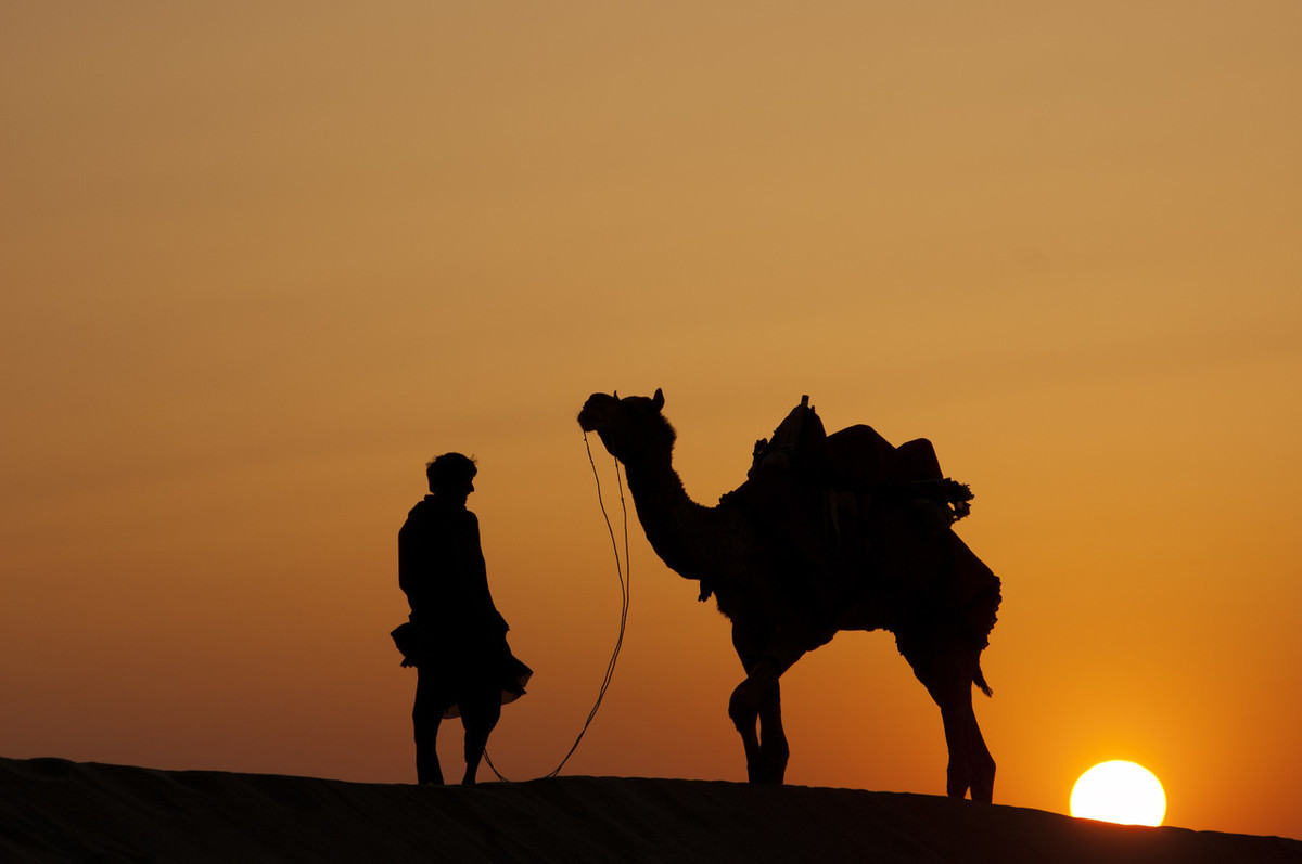 骆驼祥子每章感悟启发及感悟，骆驼祥子每章概括和感悟