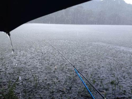 下雨天钓鱼，季节不同，钓点深浅选择有讲究