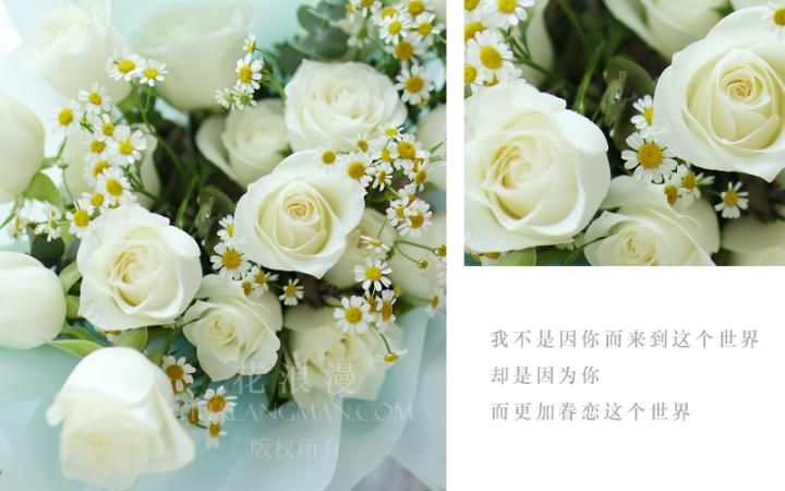 白玫瑰代表什么意思花语是什么「白玫瑰的寓意象征」