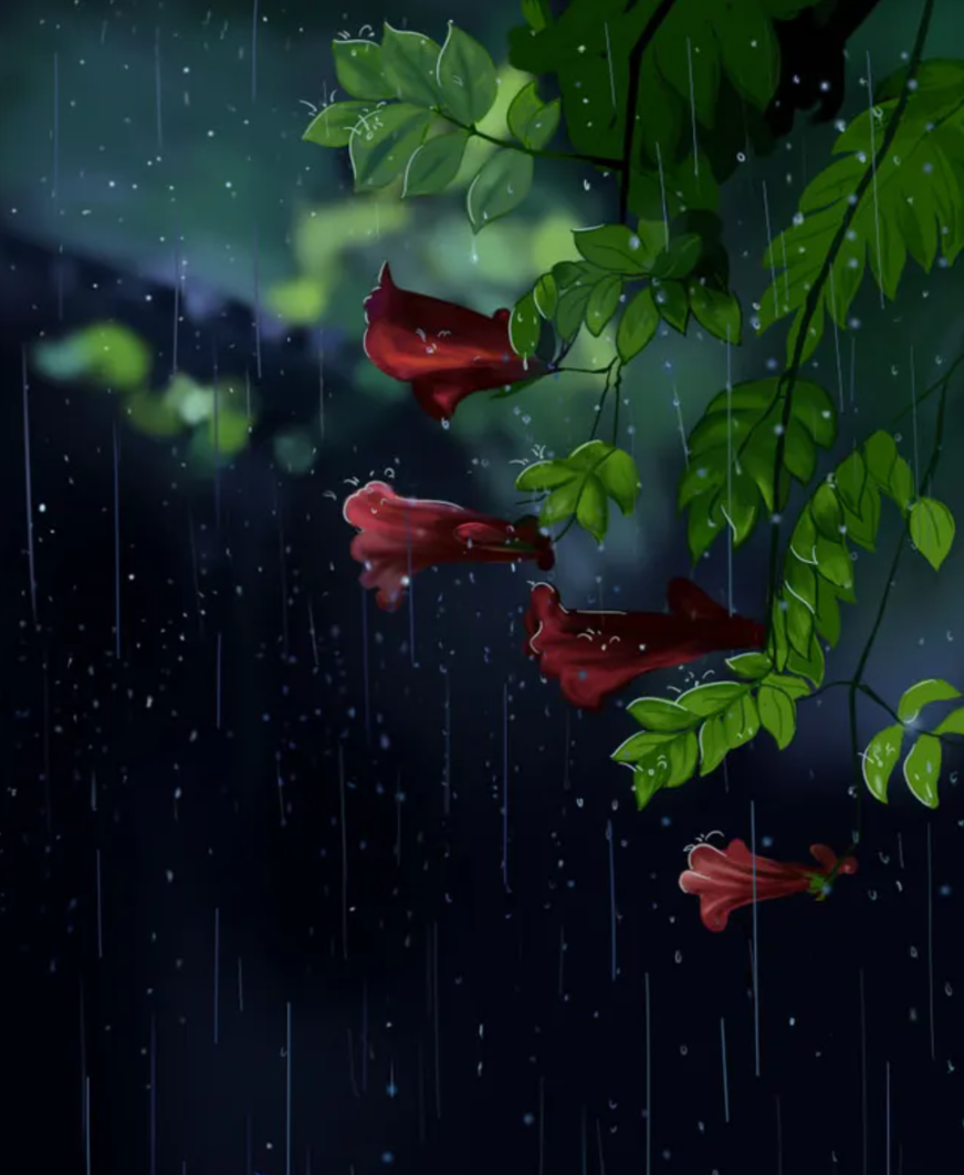形容小雨的古诗（形容小雨的优美诗句）