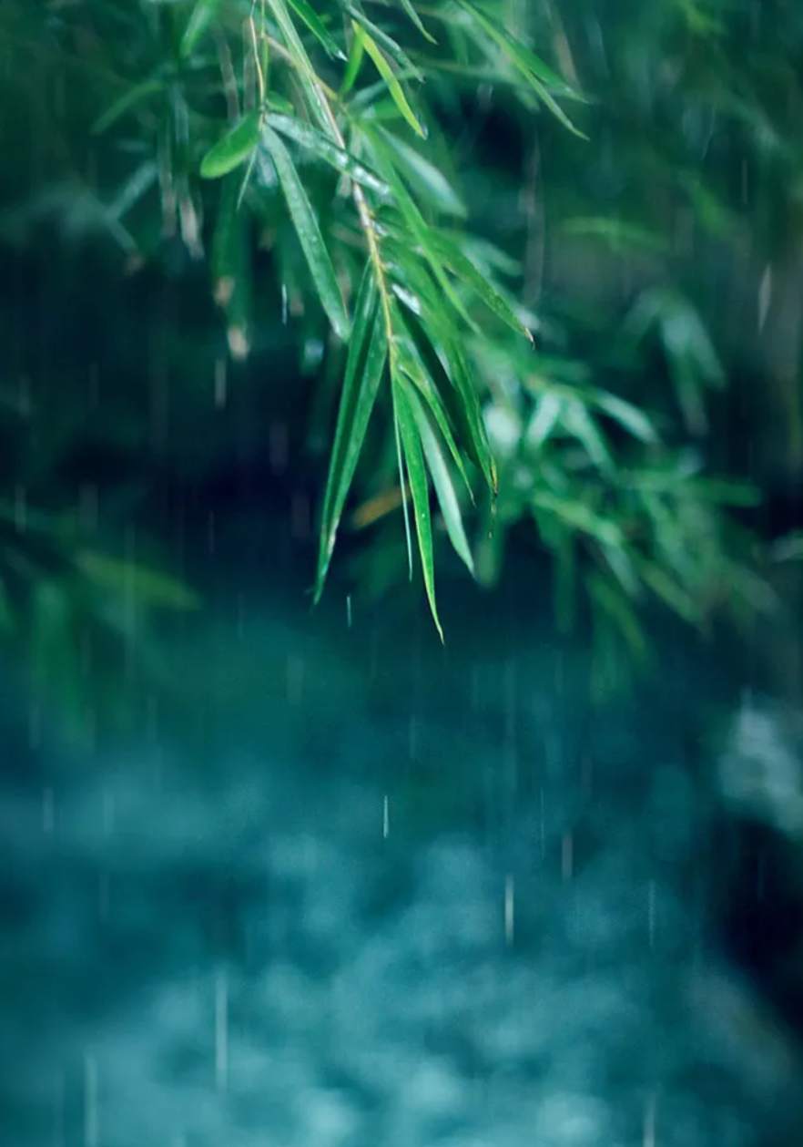 形容小雨的古诗（形容小雨的优美诗句）