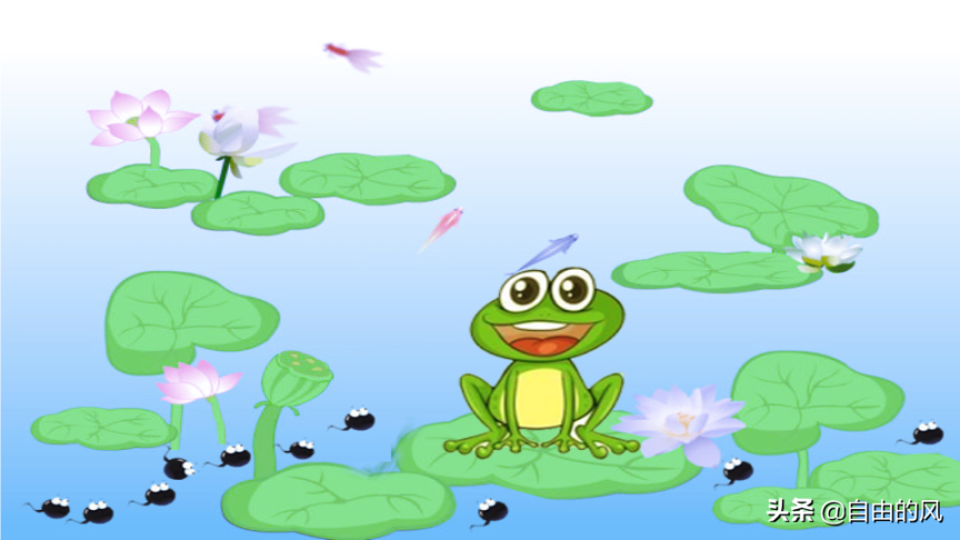 青蛙的样子描写和特点（青蛙特点和生活特征和外形）